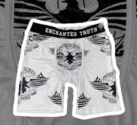 enchanted truth boxer briefs